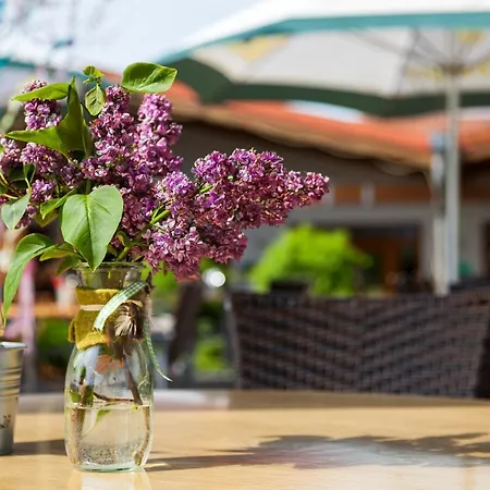 Ganschen Klein Pansiyon Ellscheid